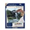 PCS1 | Painting by numbers™ 10pc 9" x 12" Mountain Waterfall Canvas Painting Project